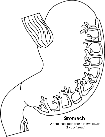 tapeworm coloring pages - photo #18